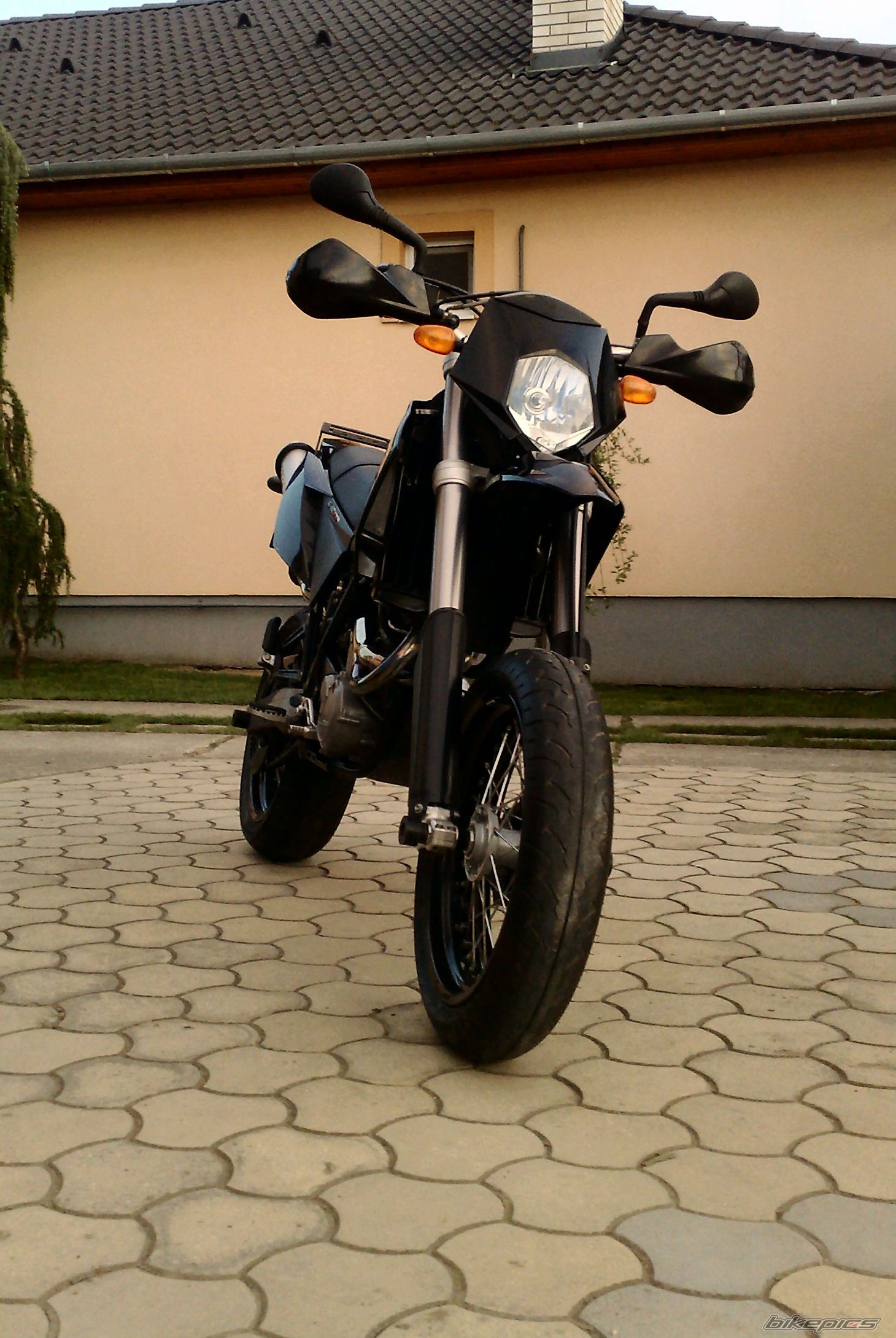 Photo 2550431