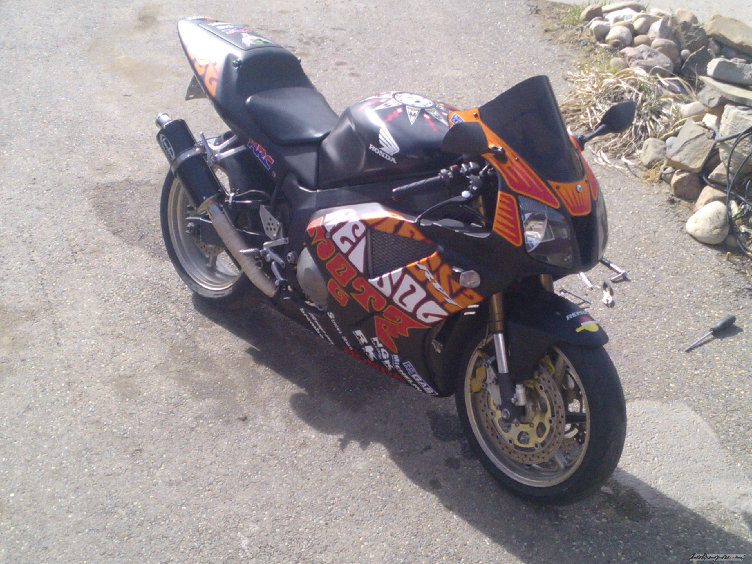 Photo 2550469