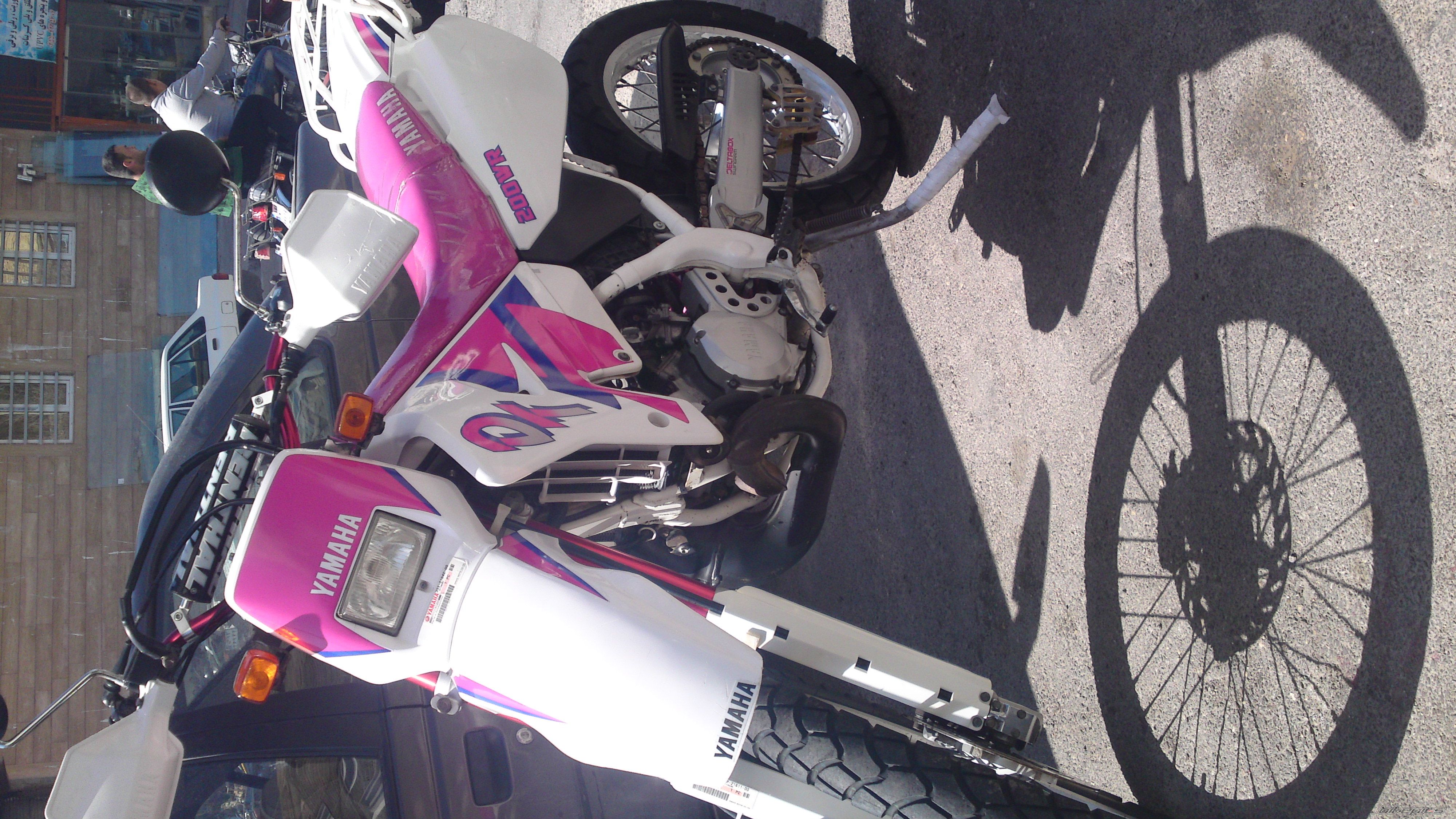 Photo 2550488