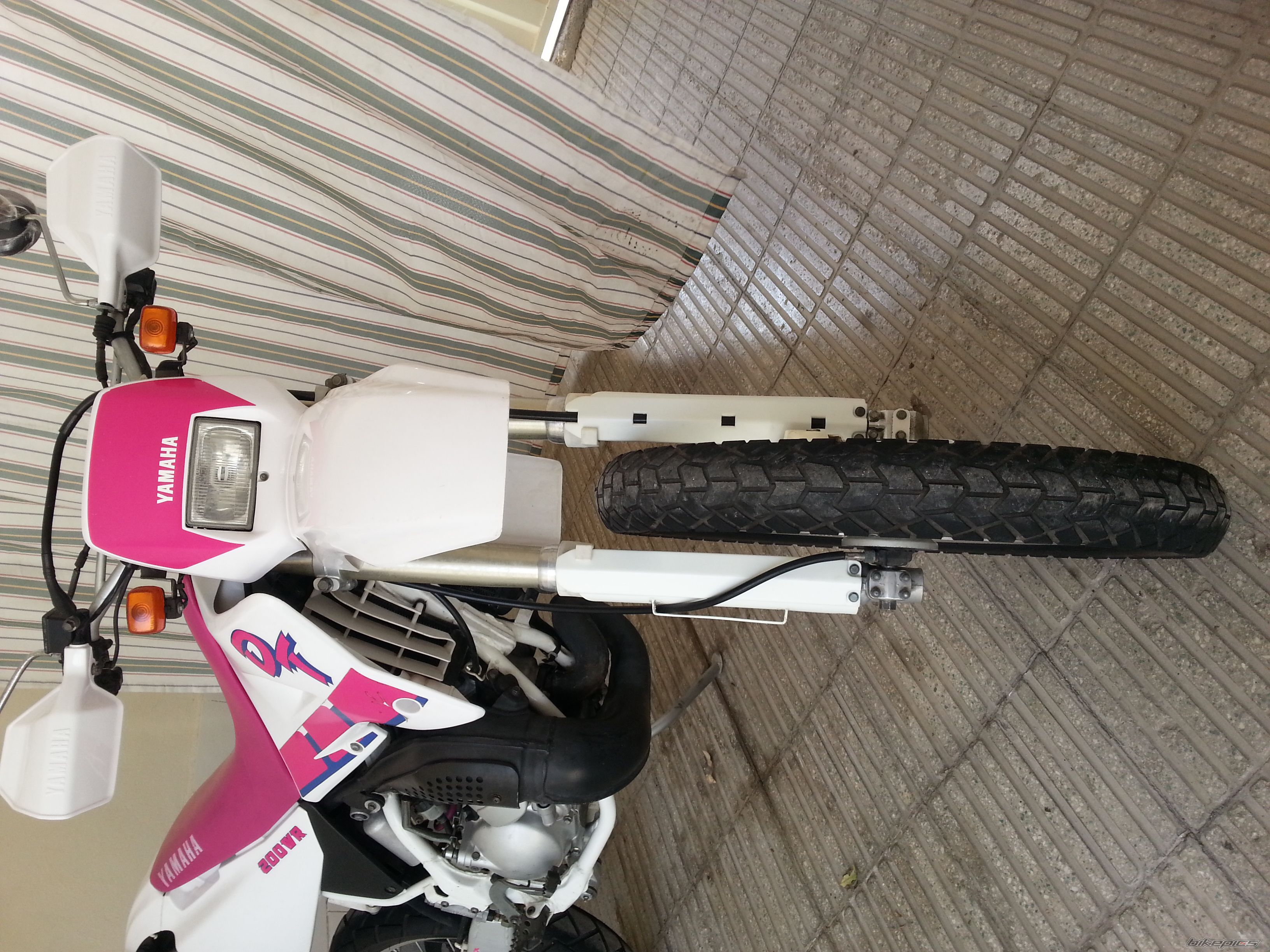 Photo 2550494