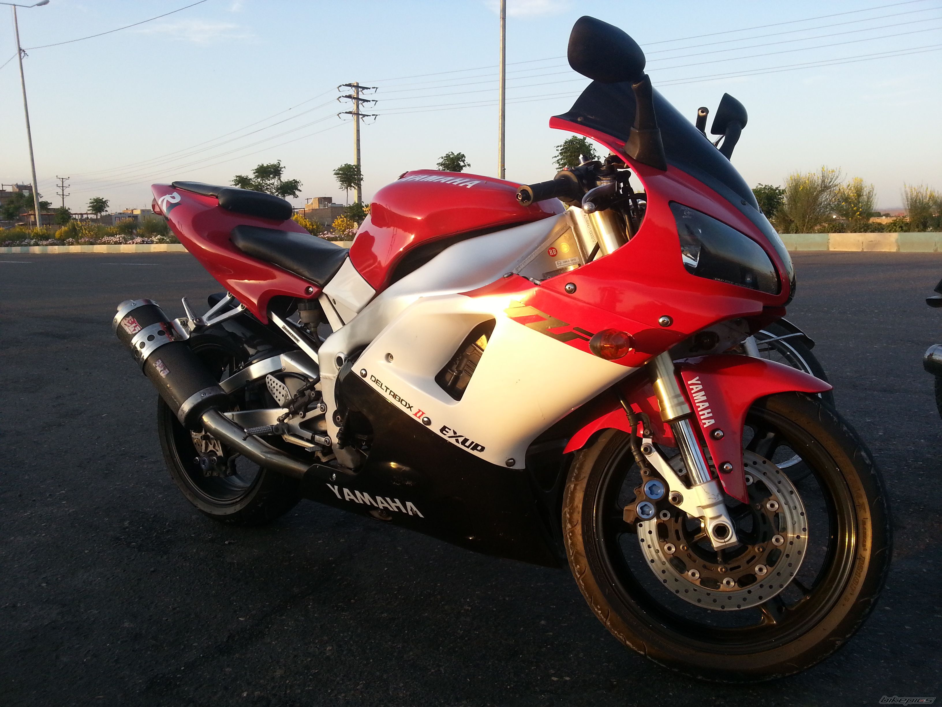 Photo 2550498
