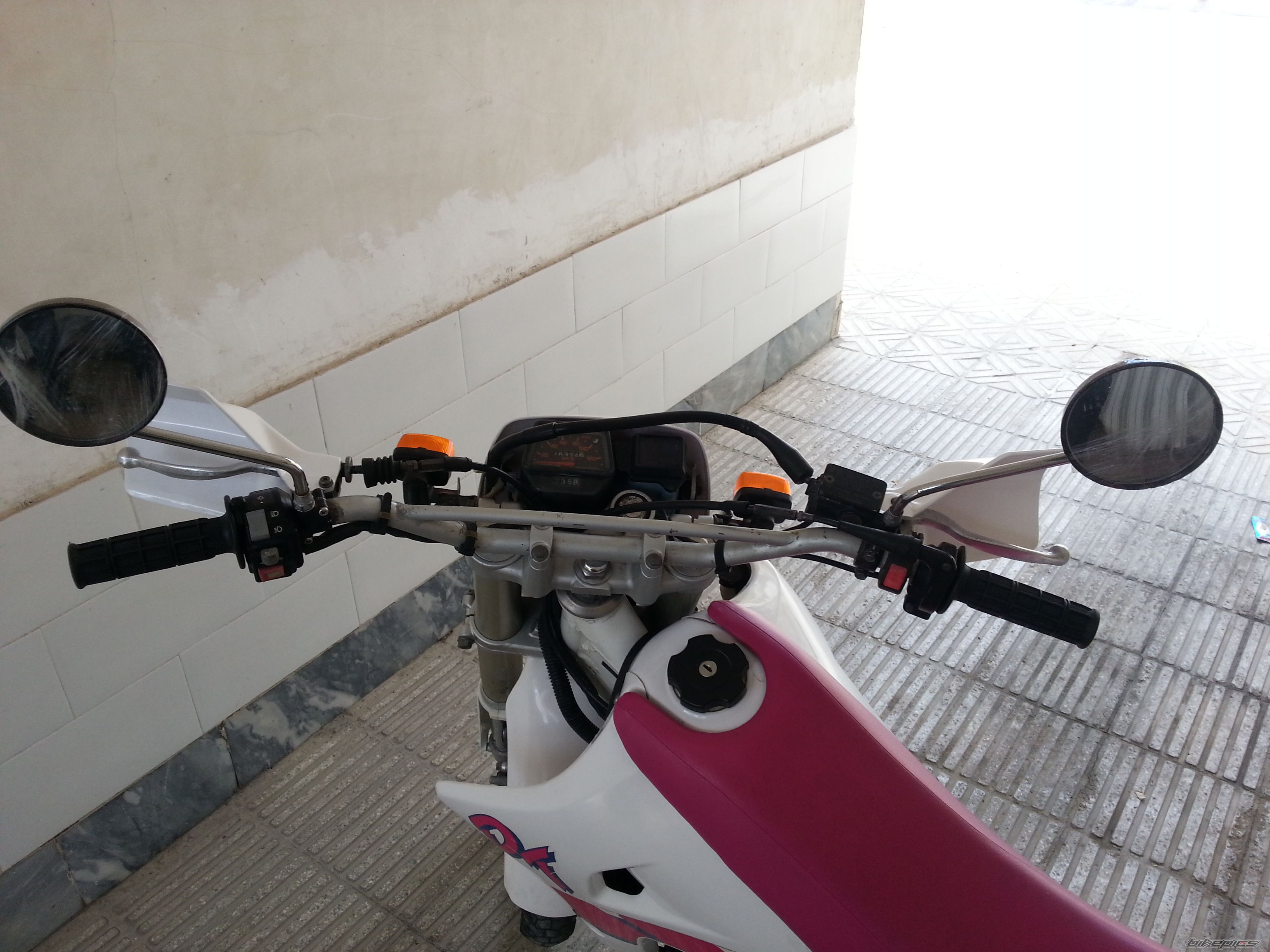 Photo 2550503