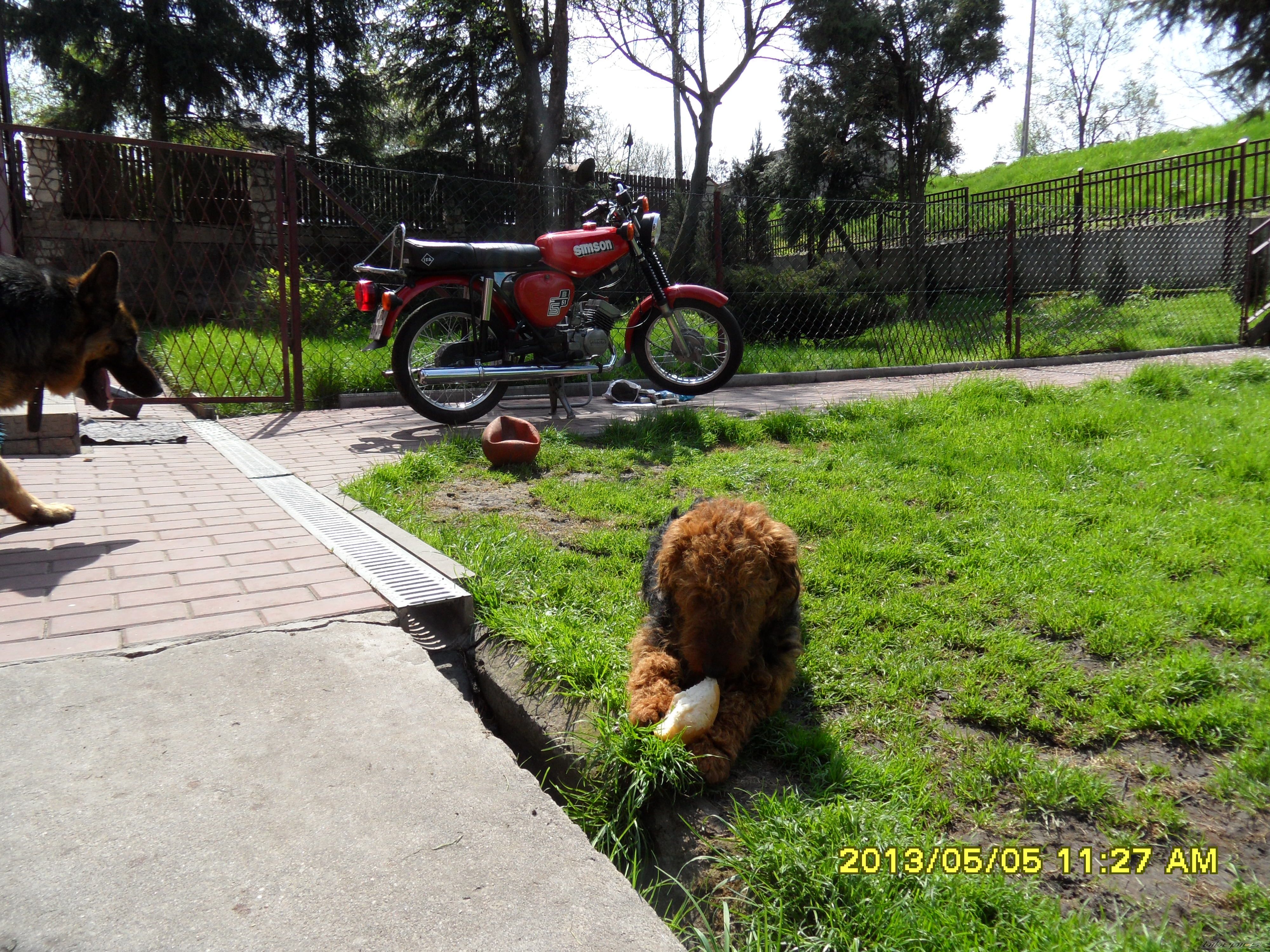 Photo 2550585