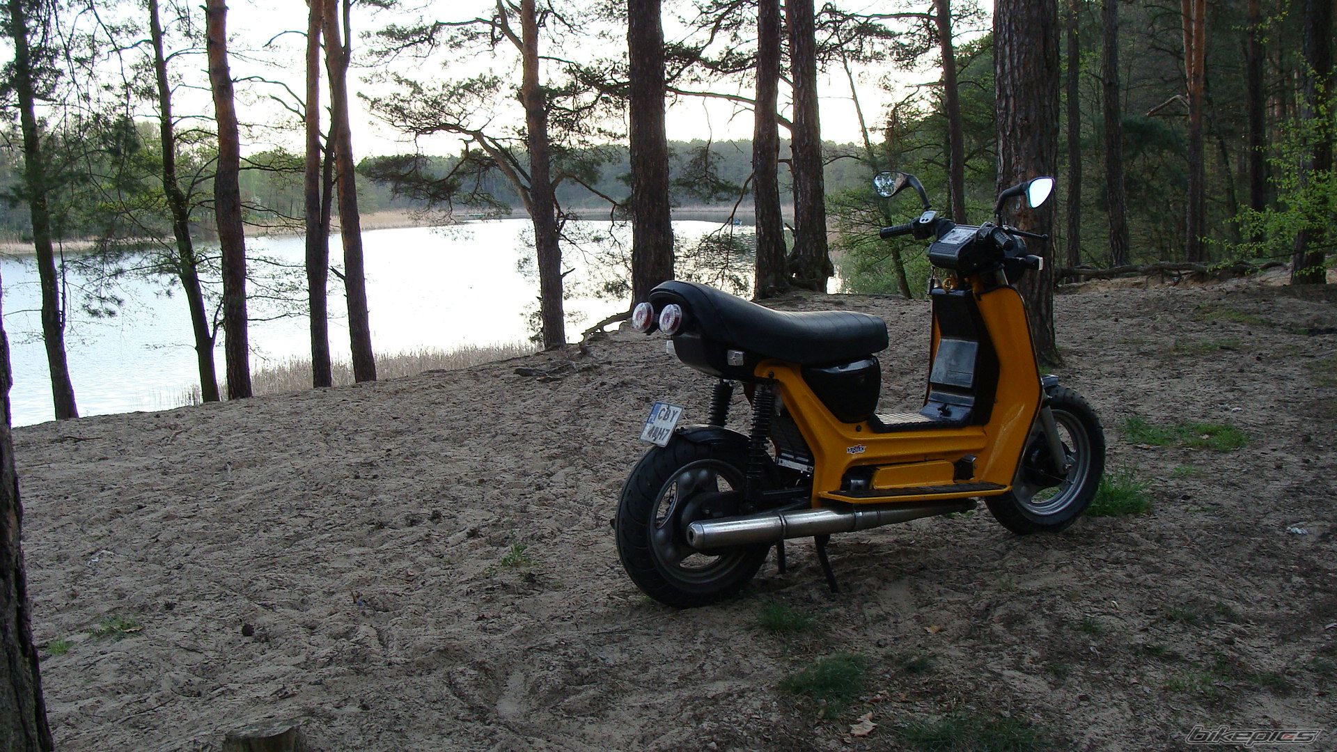 Photo 2550645