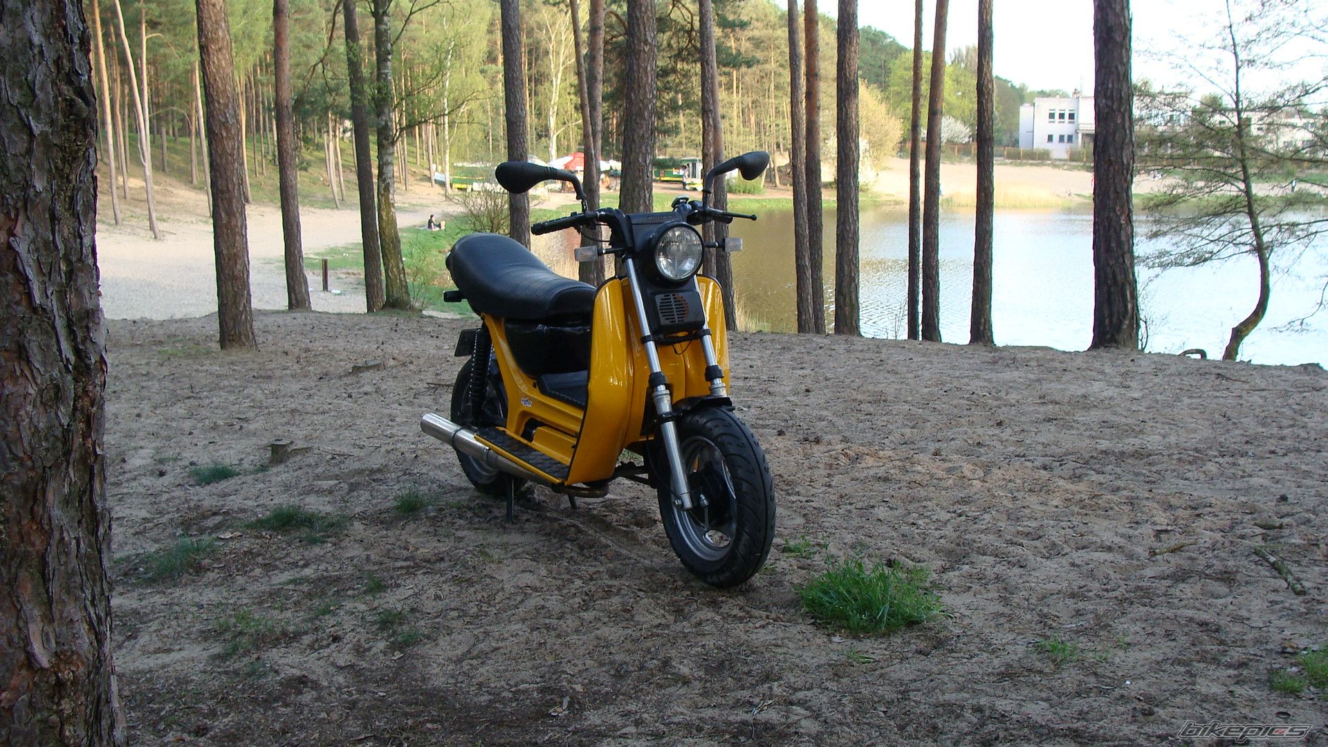 Photo 2550646