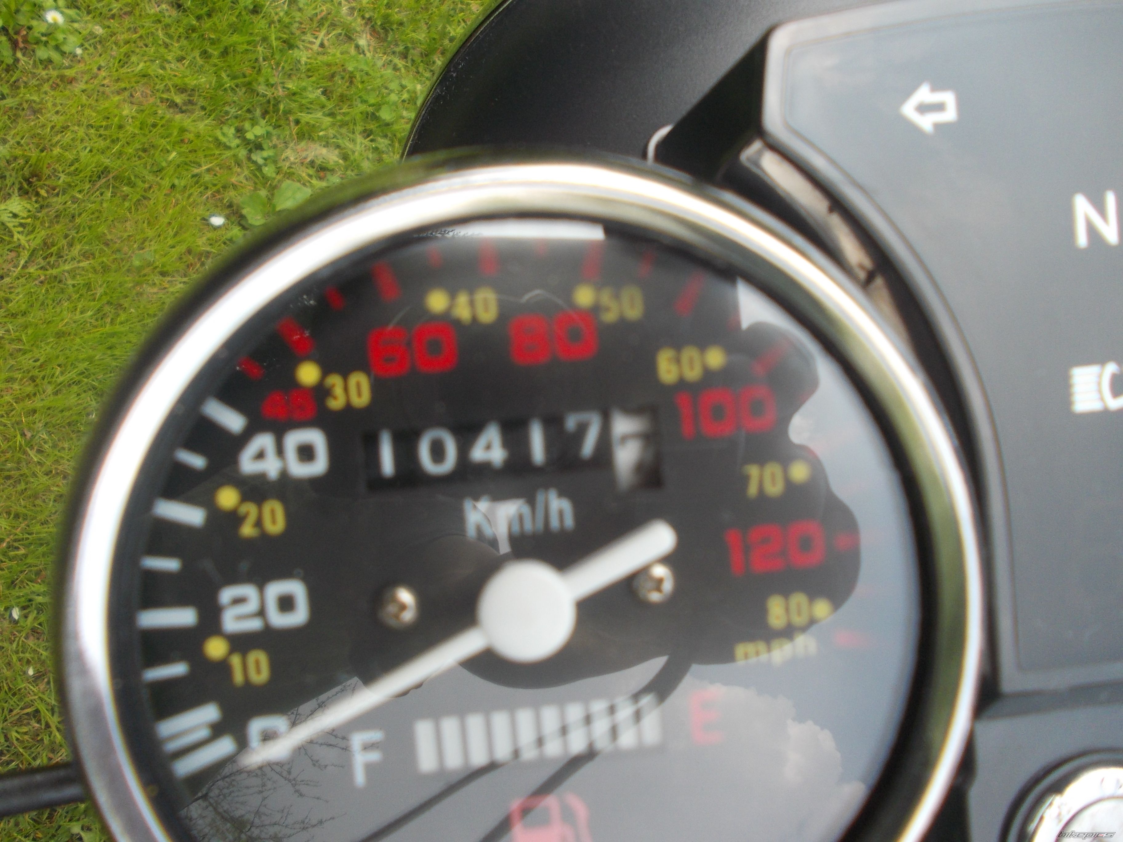 Photo 2550682