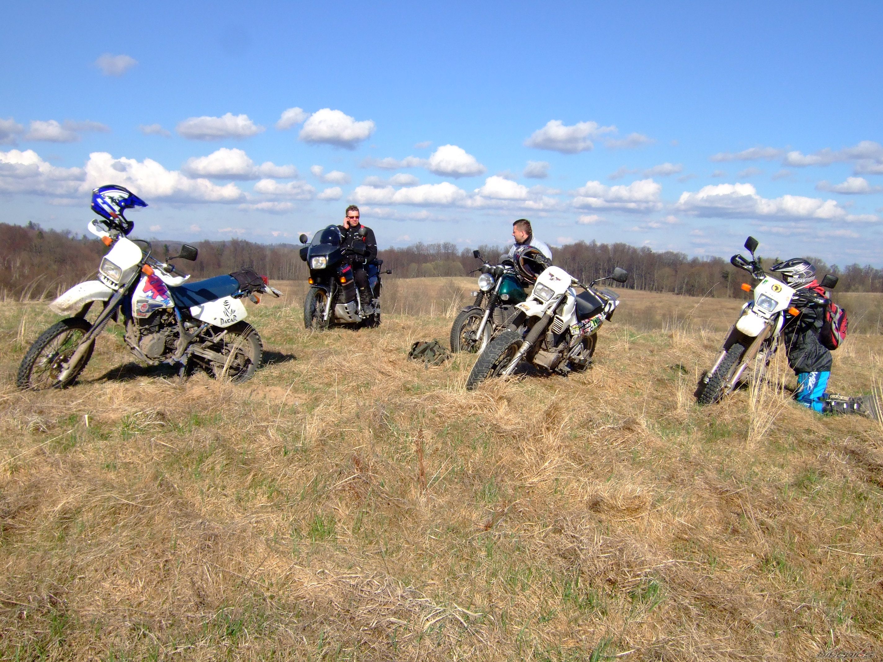 Photo 2550862