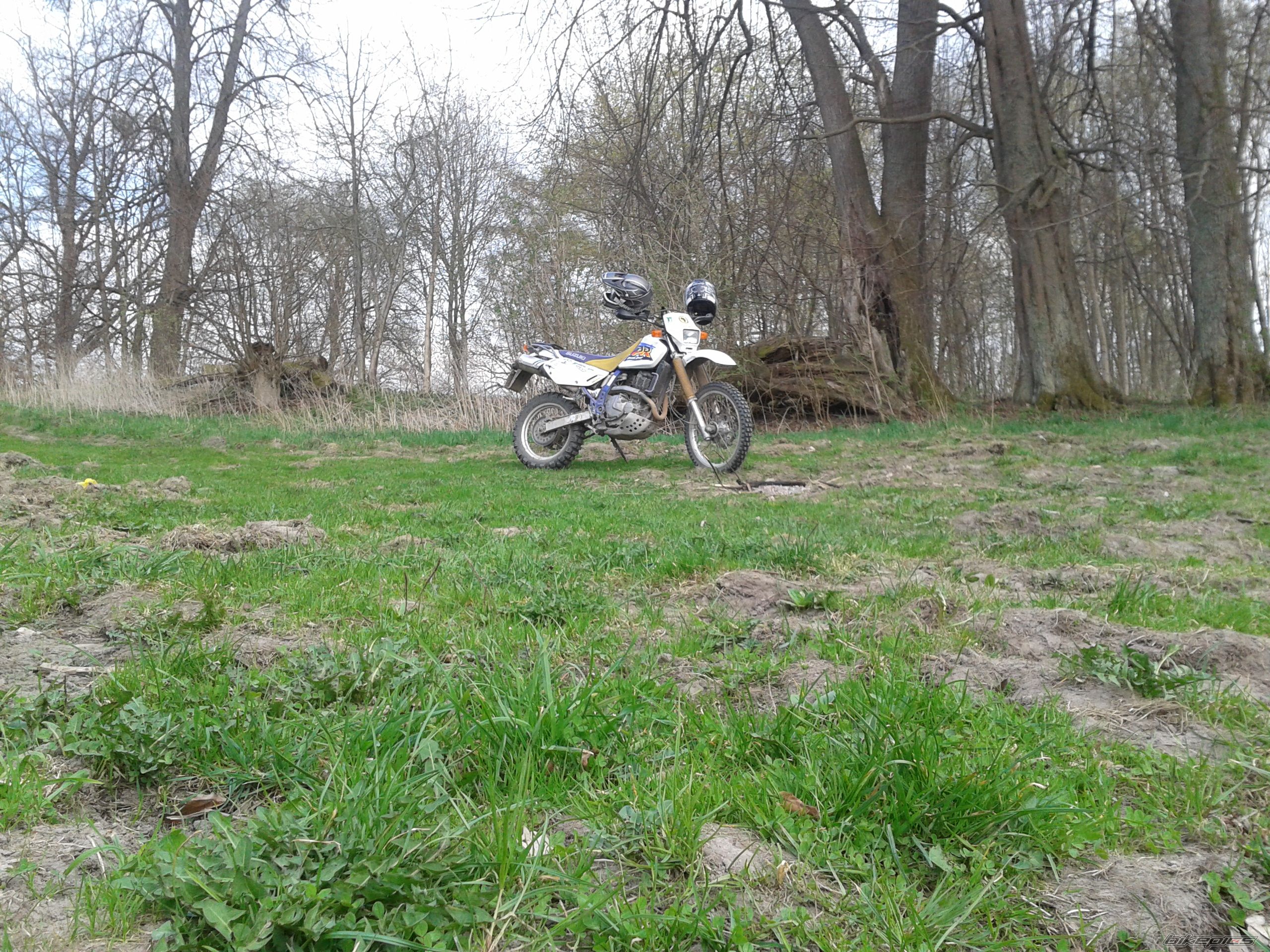 Photo 2550881