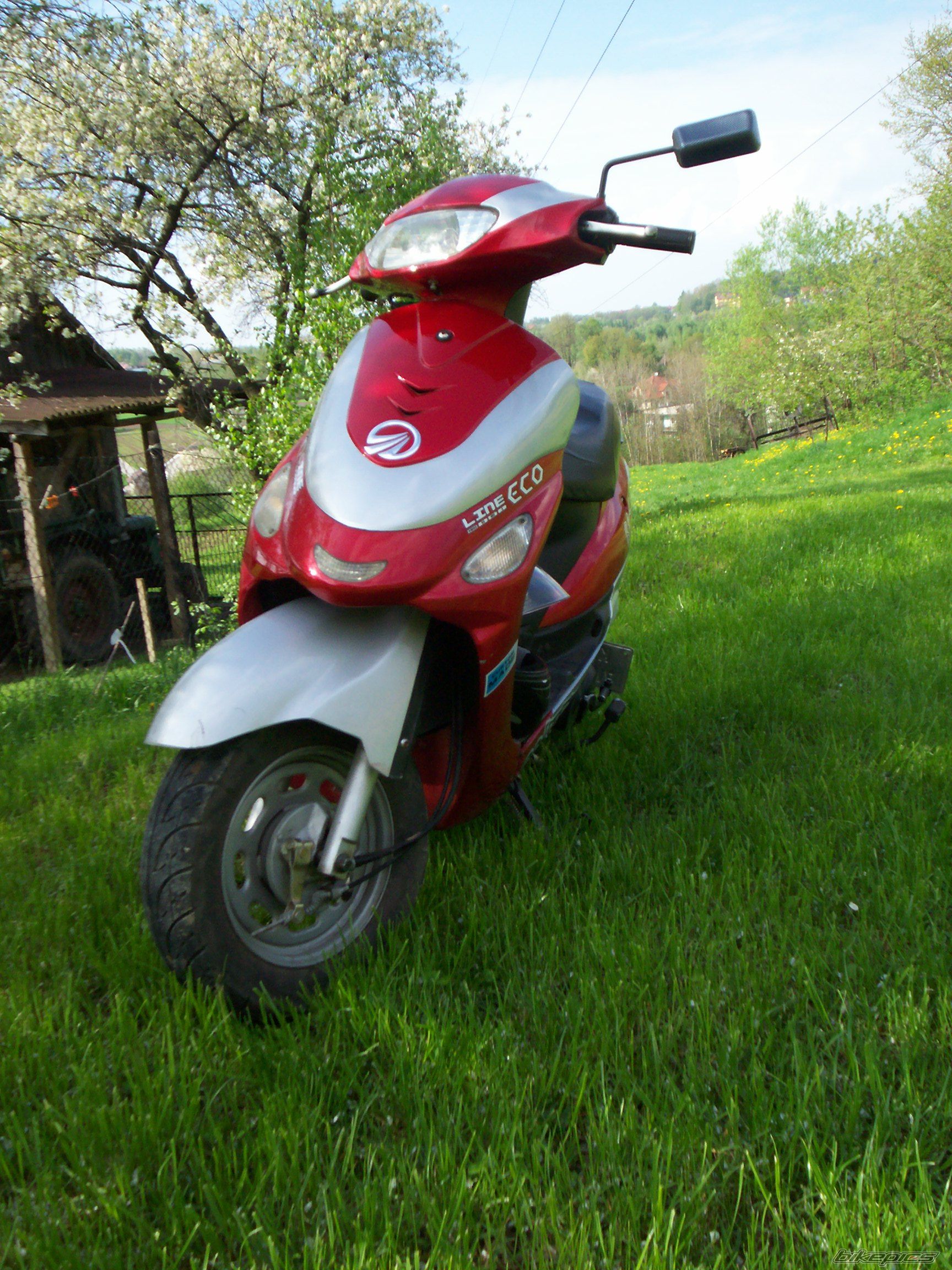 Photo 2550899
