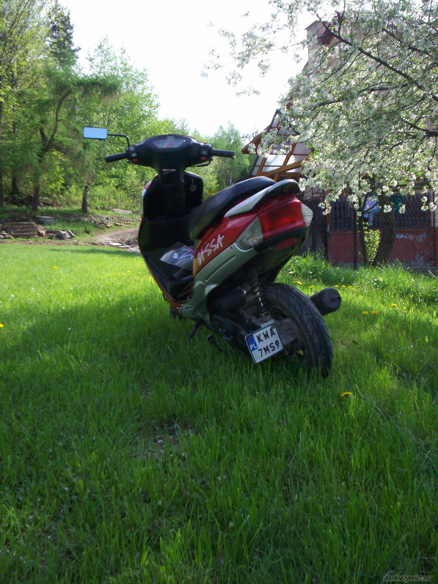 Photo 2550905