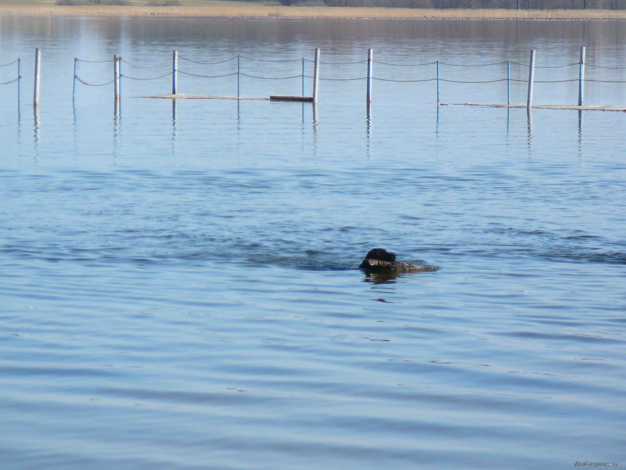 Photo 2550926
