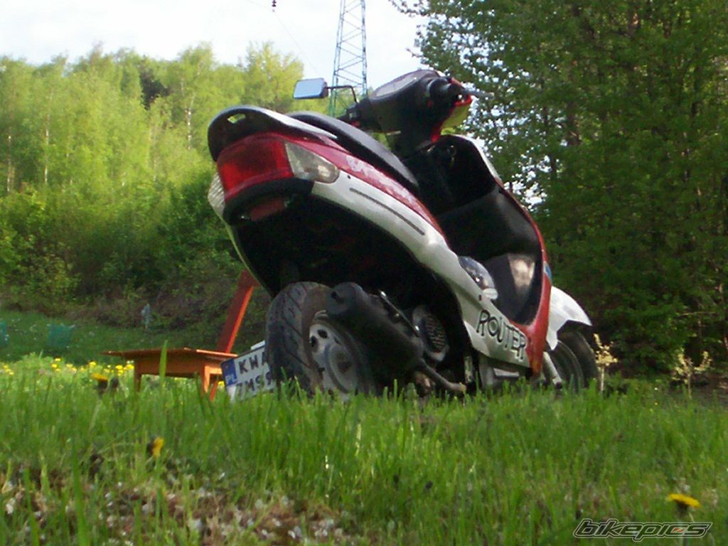 Photo 2550929