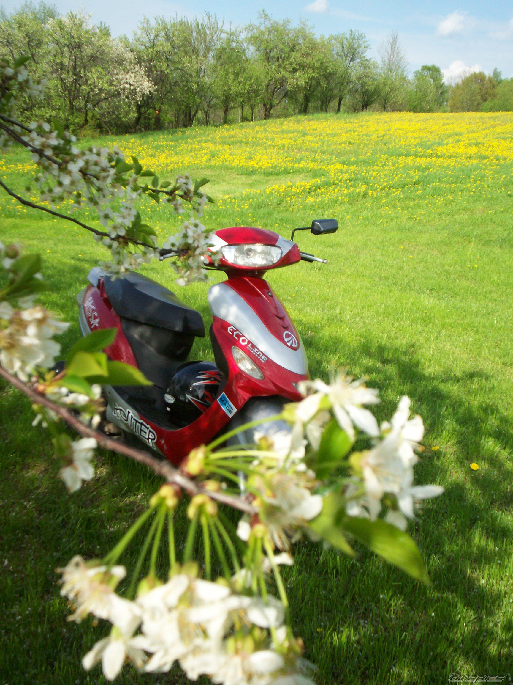 Photo 2550942