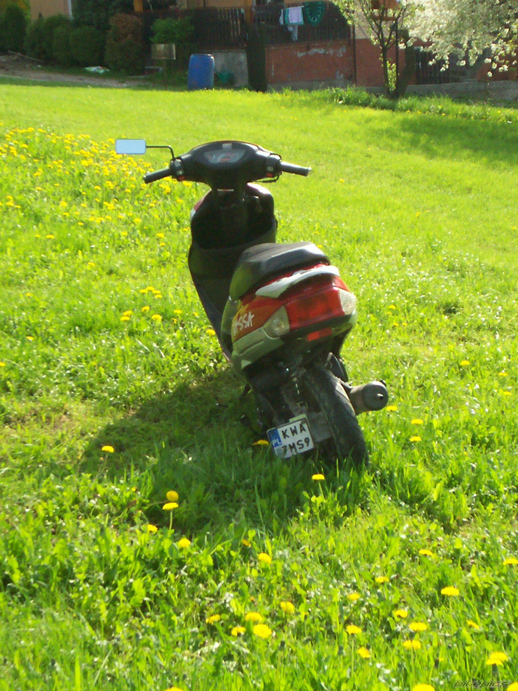 Photo 2550950