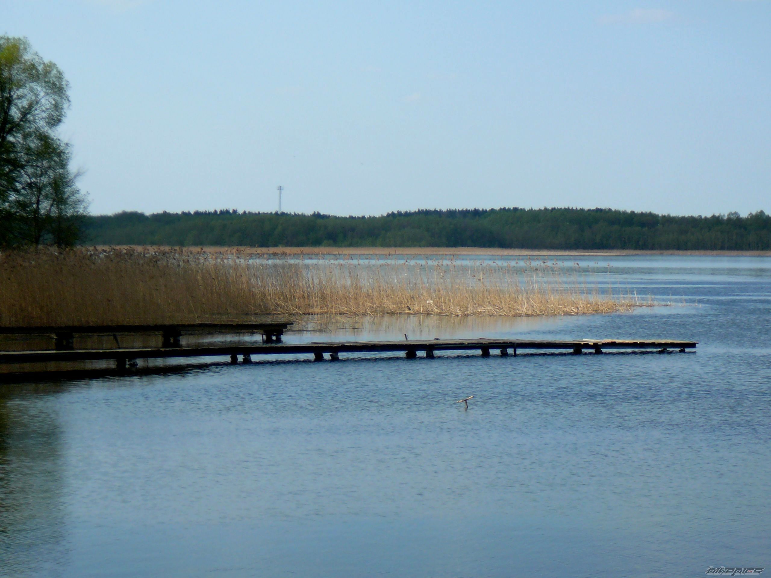 Photo 2550959