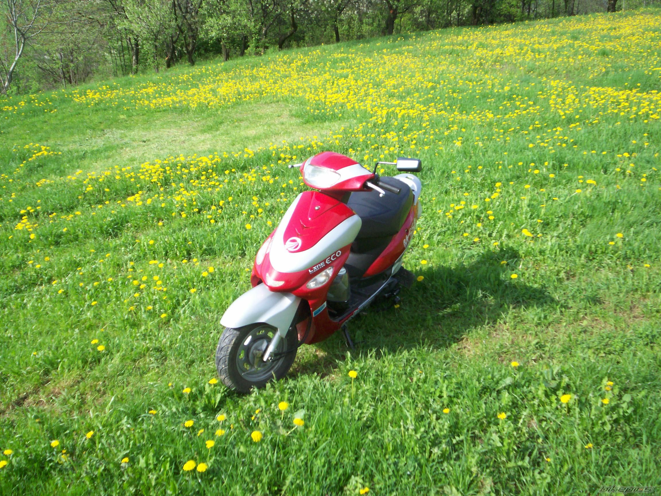 Photo 2550965