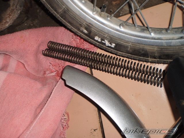 Photo 2550993