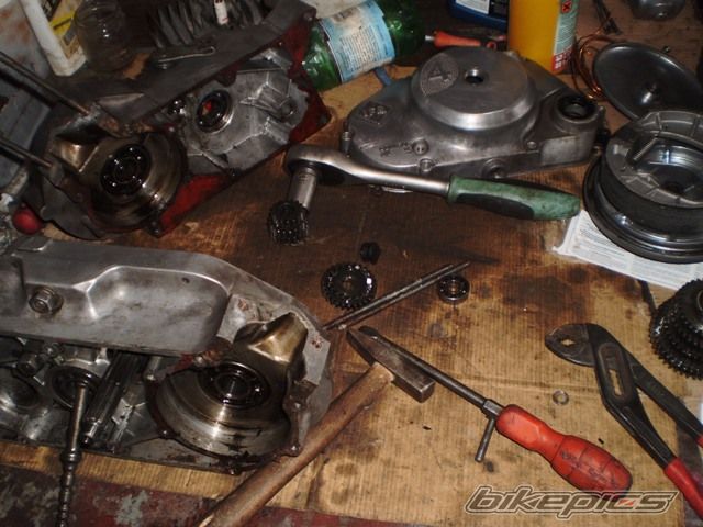 Photo 2551003