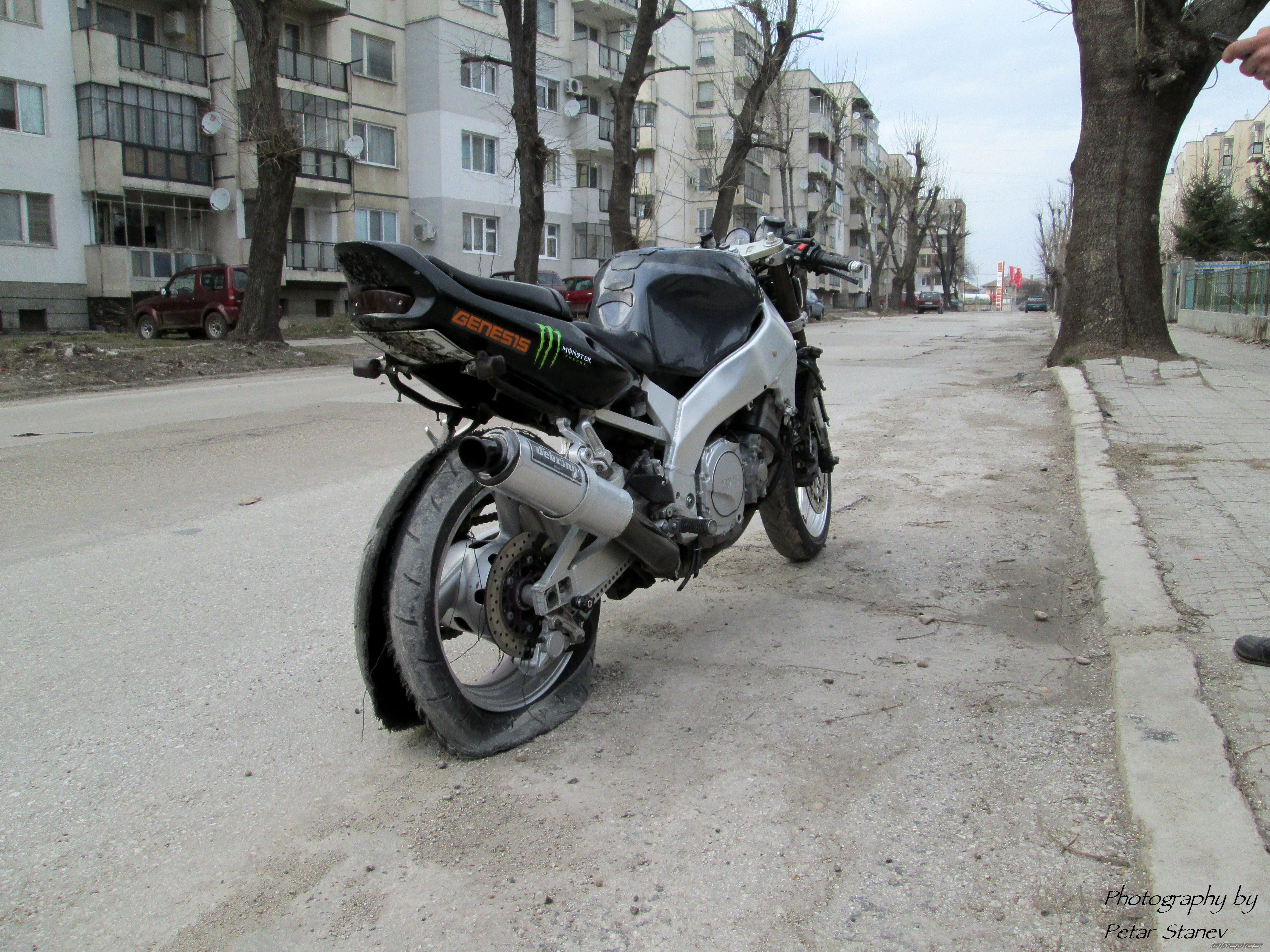 Photo 2551055
