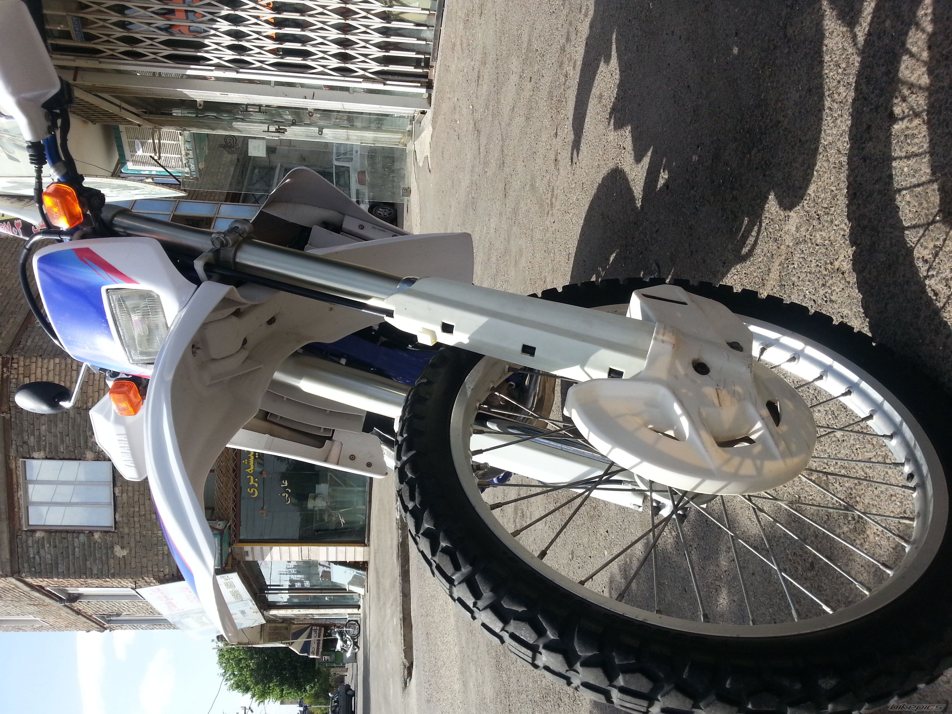 Photo 2551113