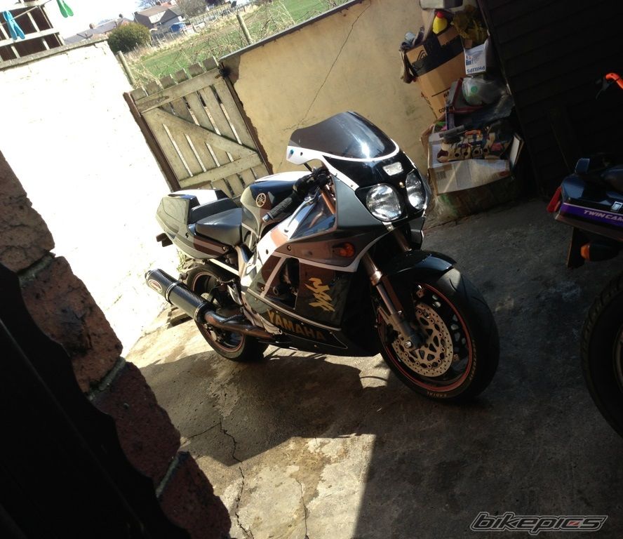 Photo 2551122
