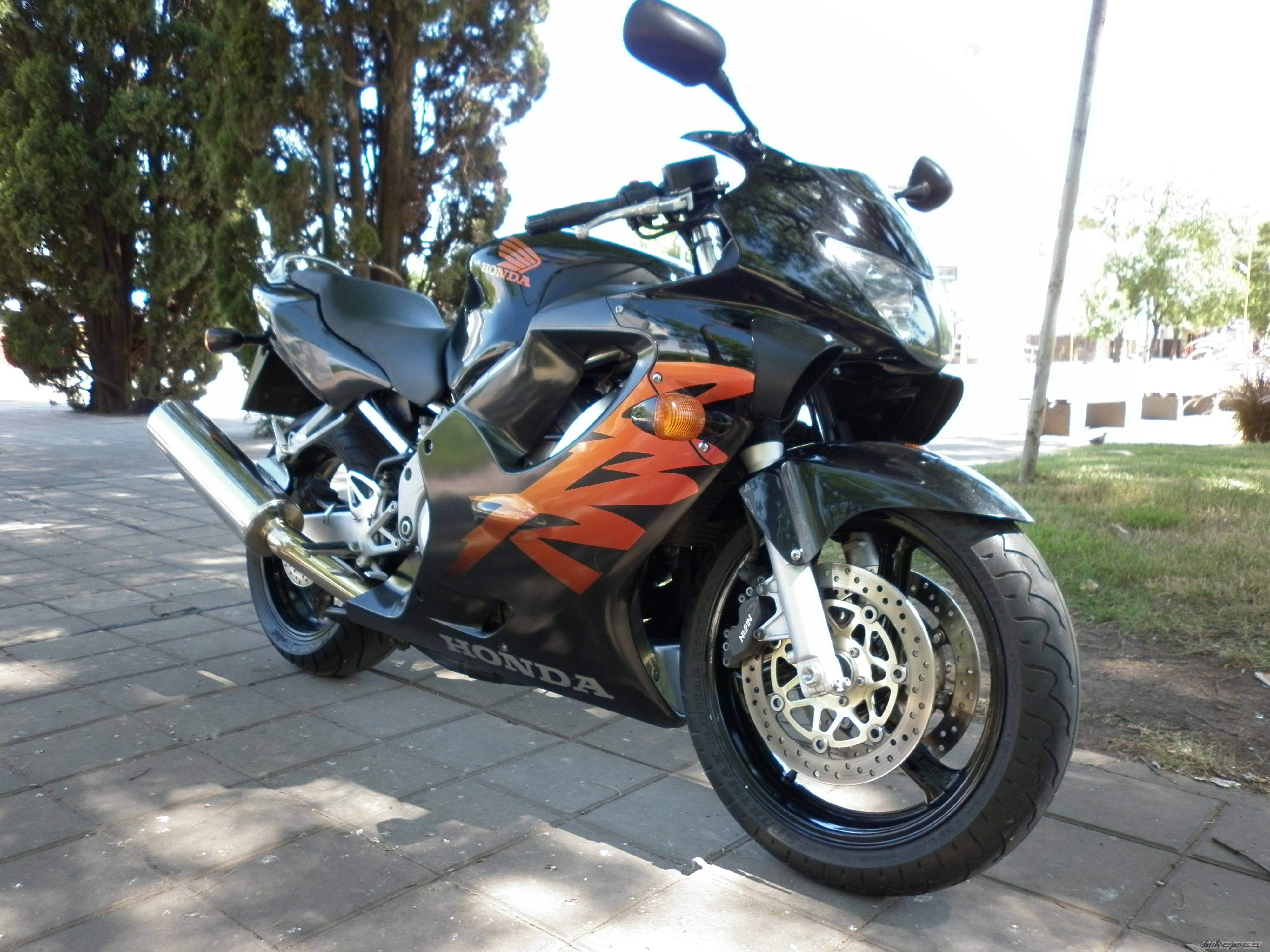 Photo 2551137