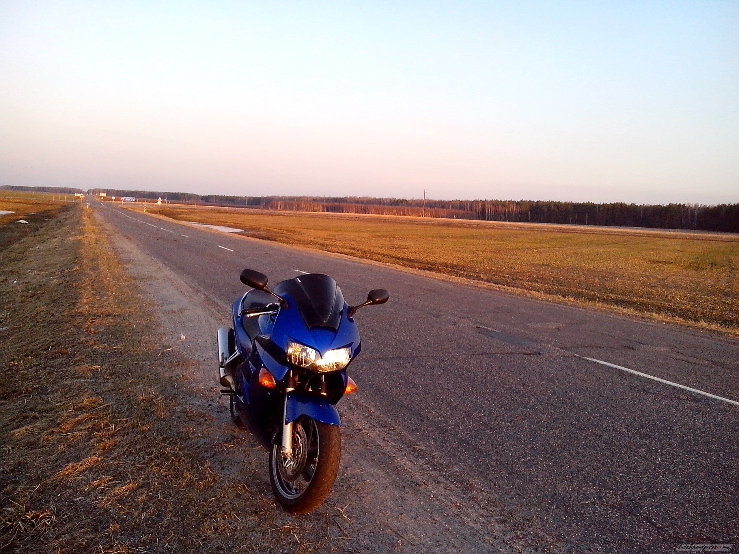 Photo 2551141
