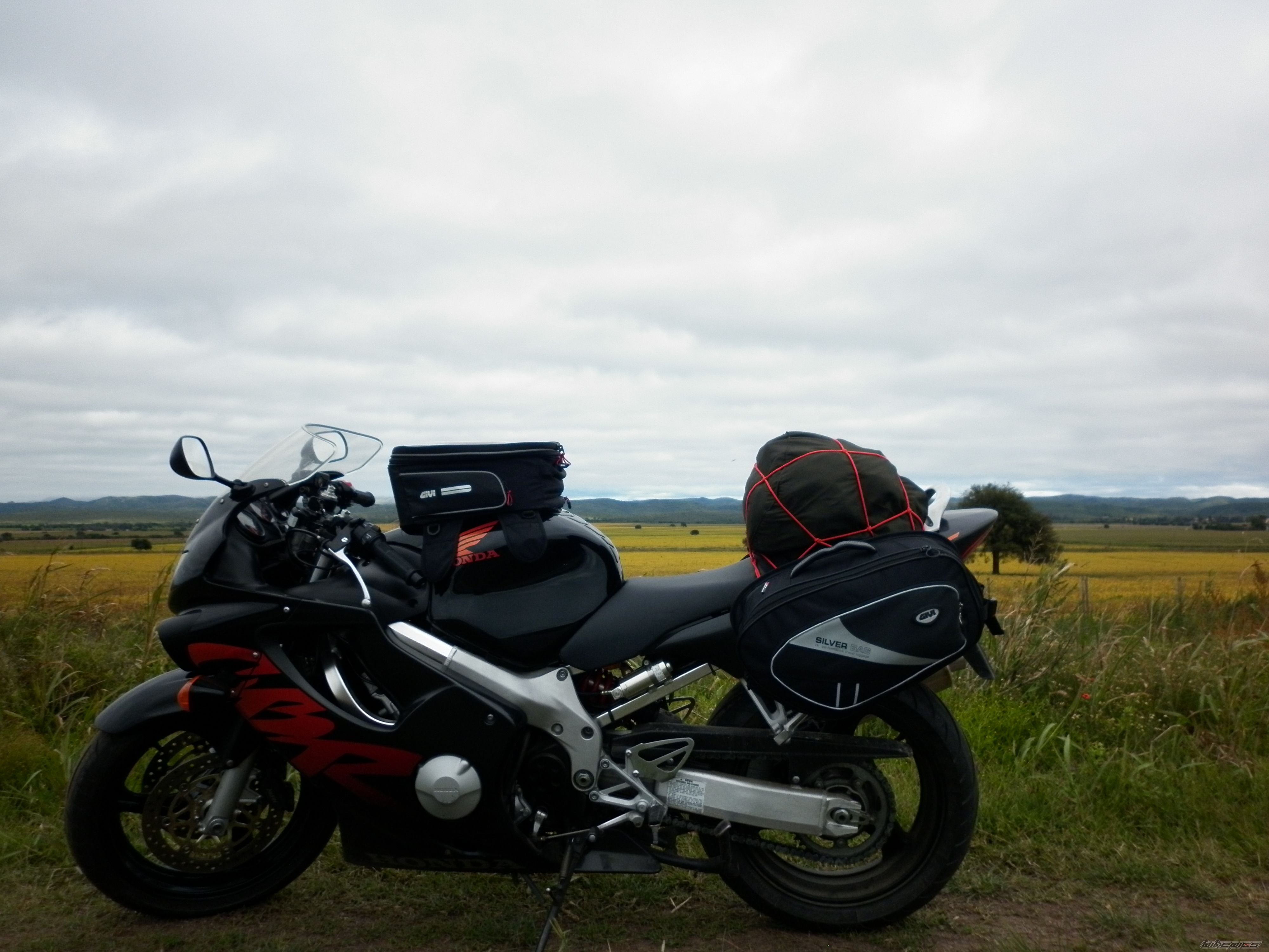 Photo 2551159