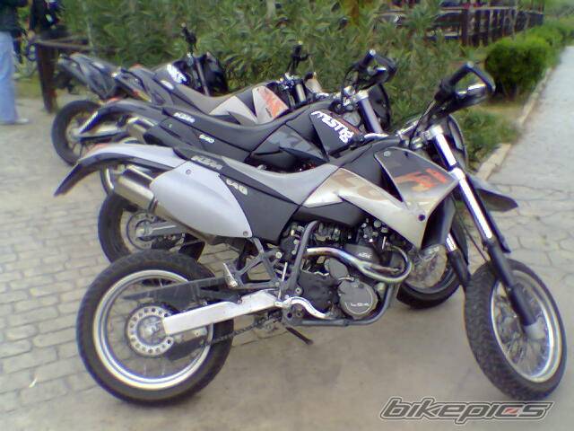 Photo 255119
