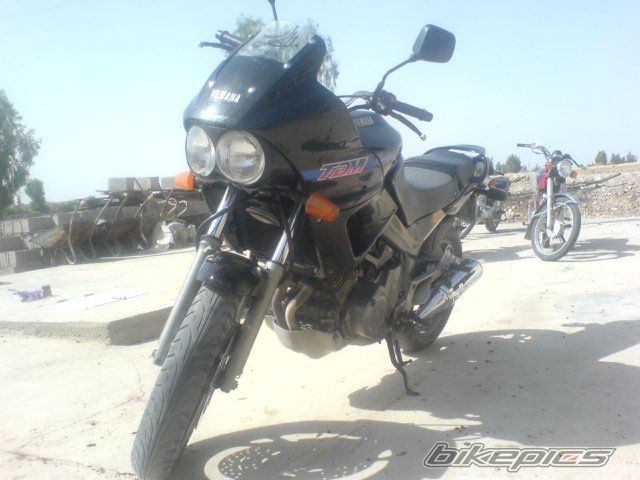Photo 2551241