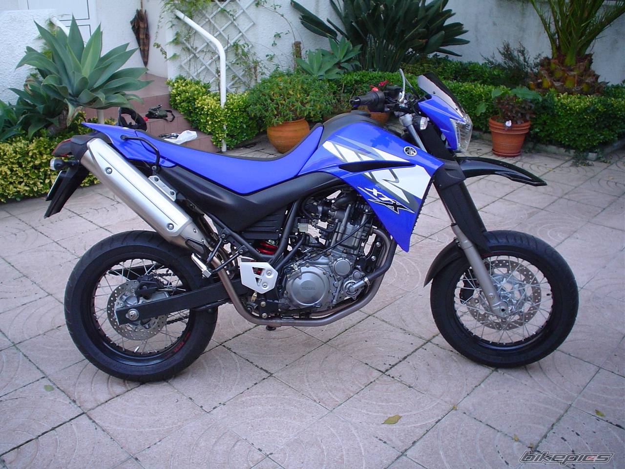 Bike Photo 255125