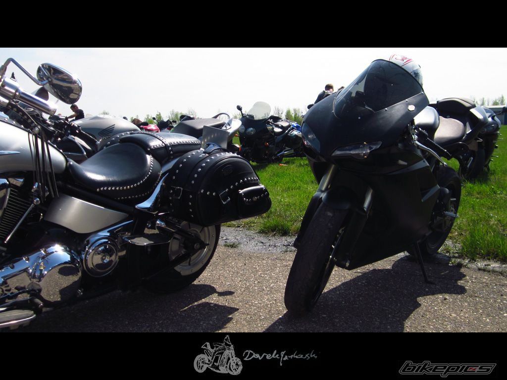 Photo 2551255