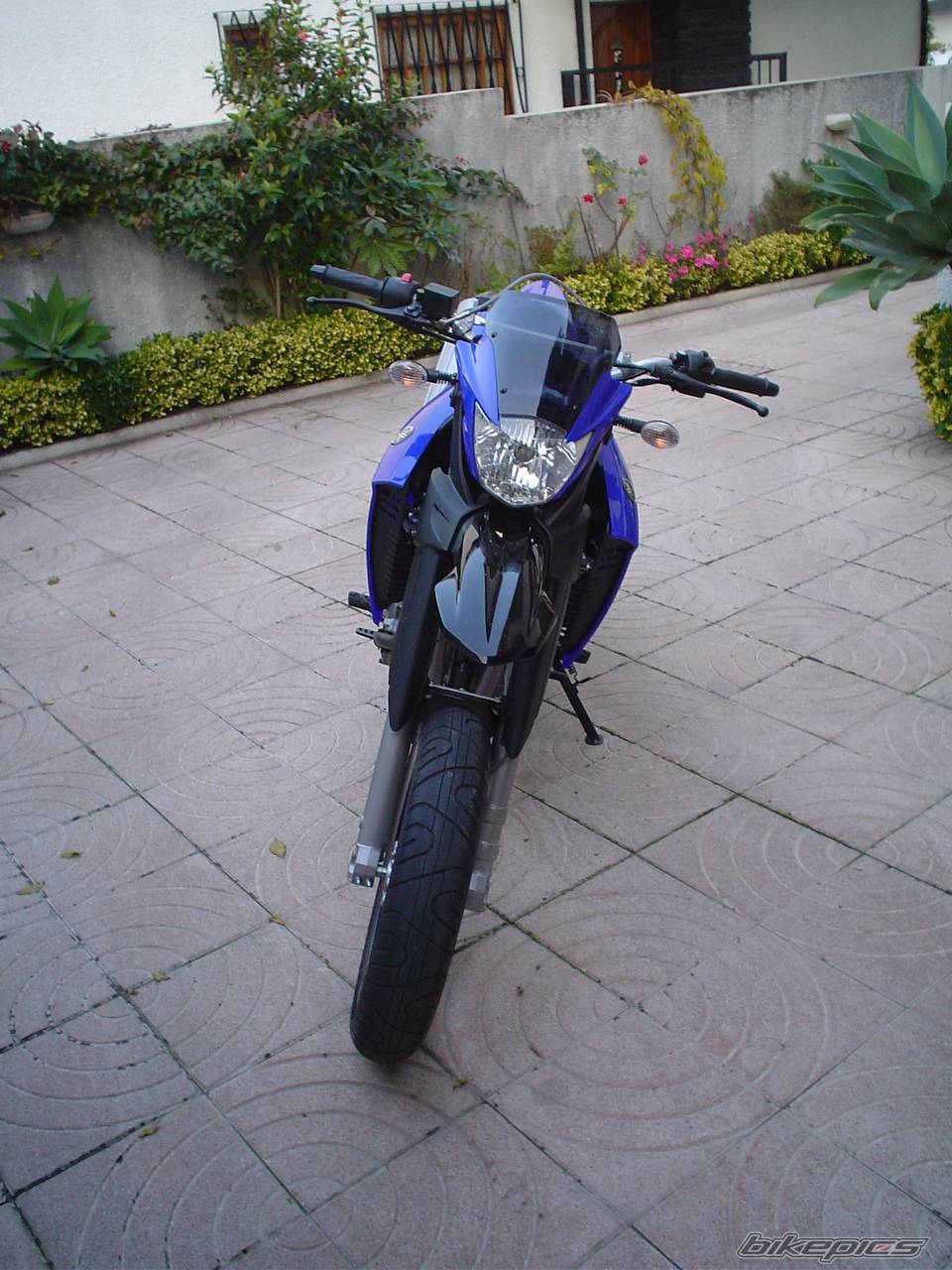 Bike Photo 255127