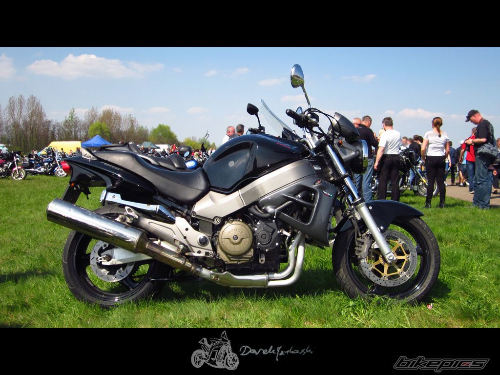 Photo 2551283