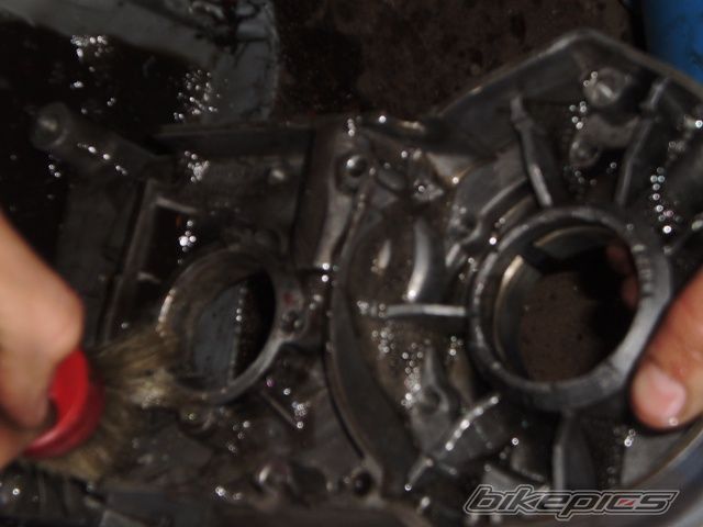 Photo 2551334