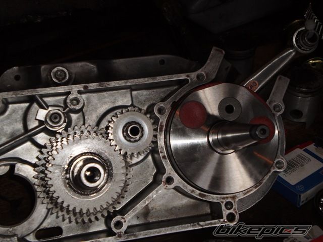 Photo 2551340