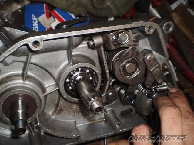 Photo 2551342