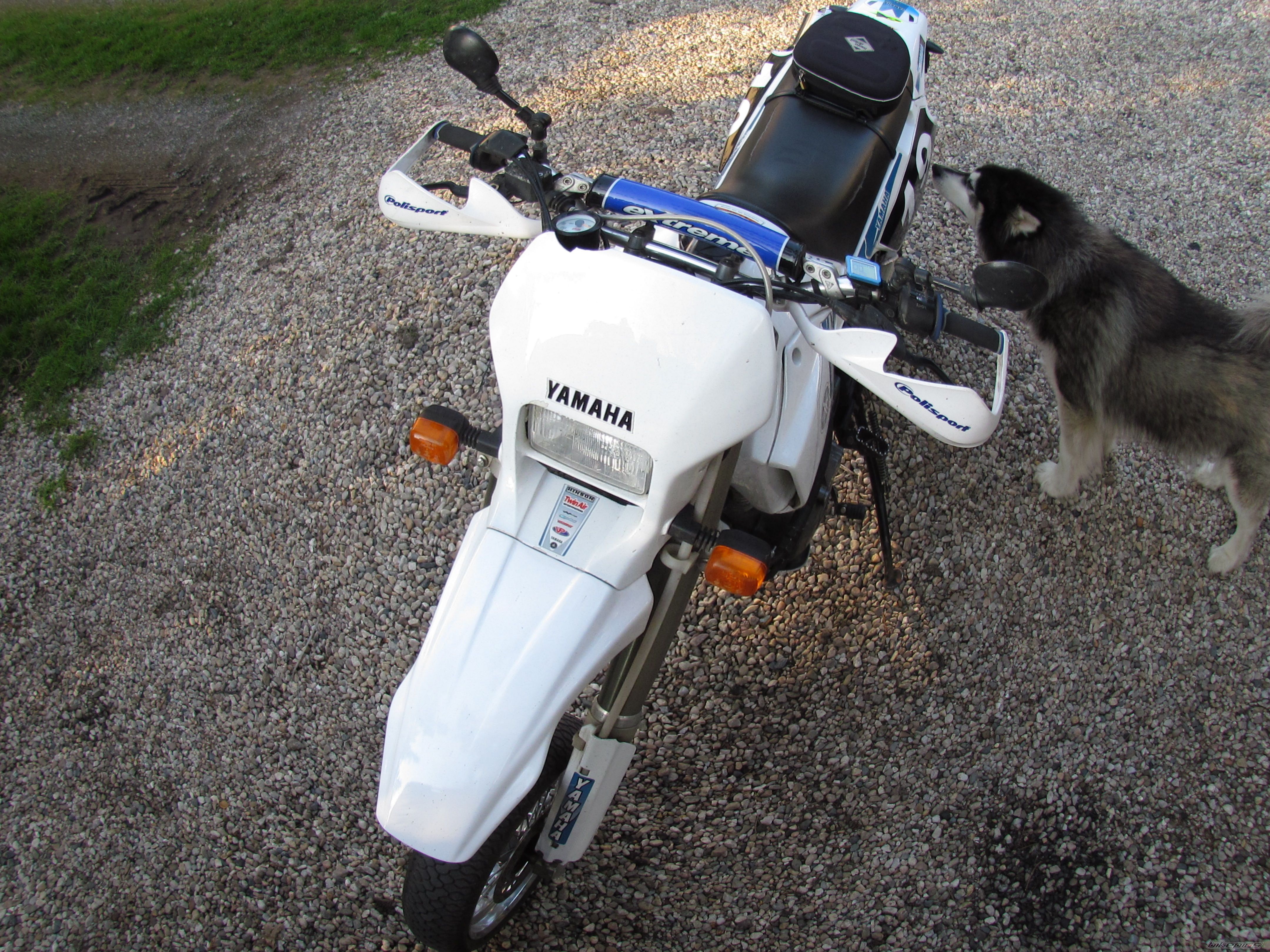 Photo 2551361