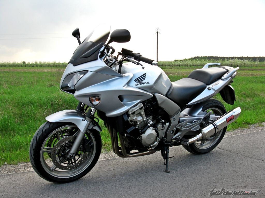 Photo 2551373
