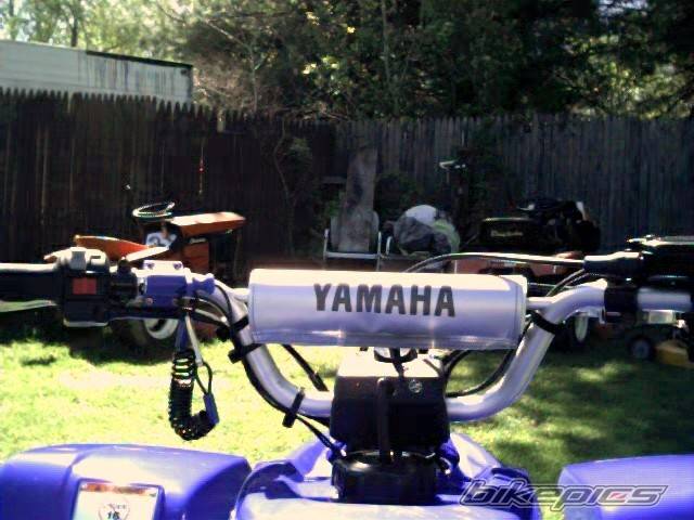 Photo 25515