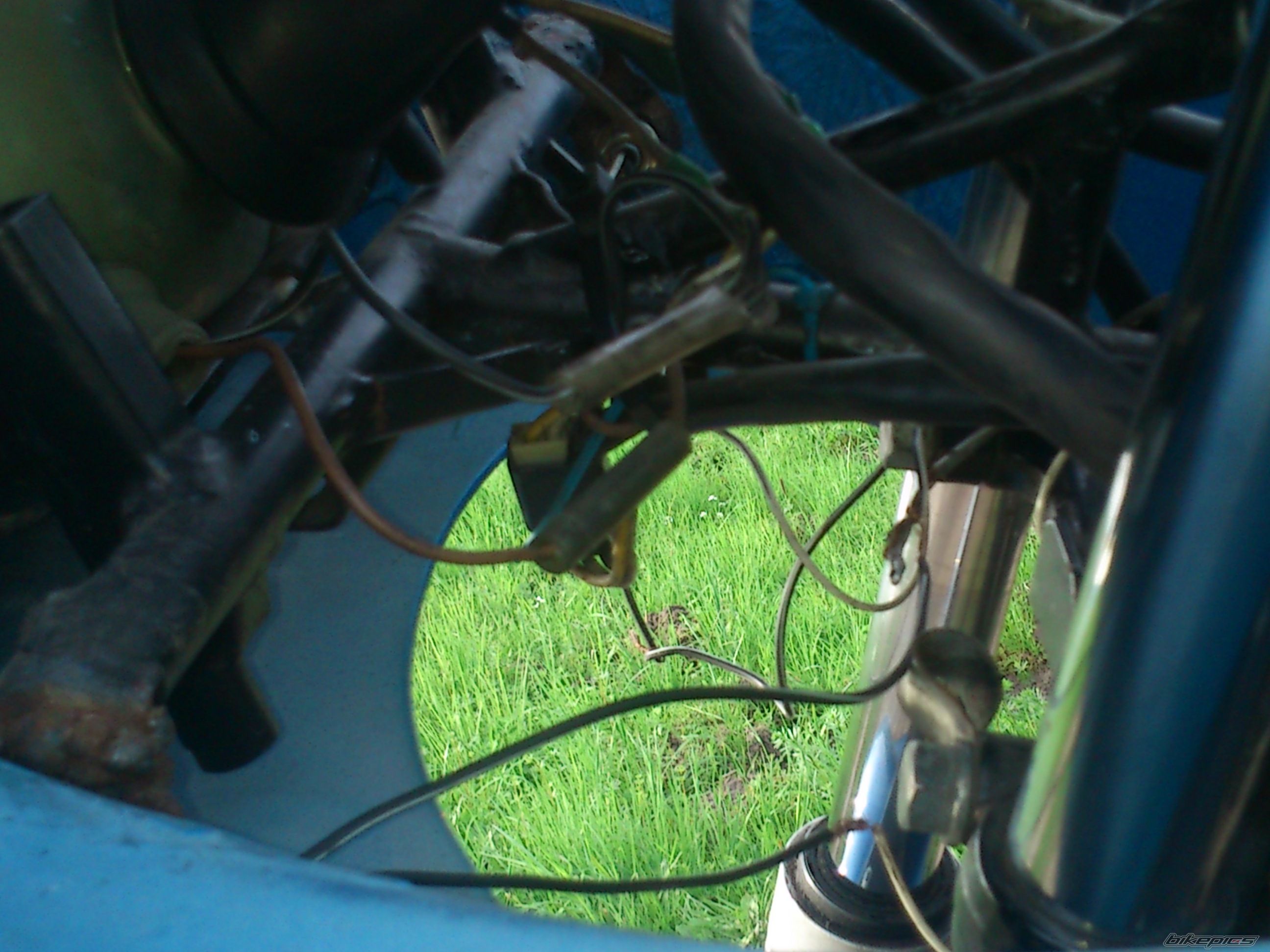 Photo 2551566