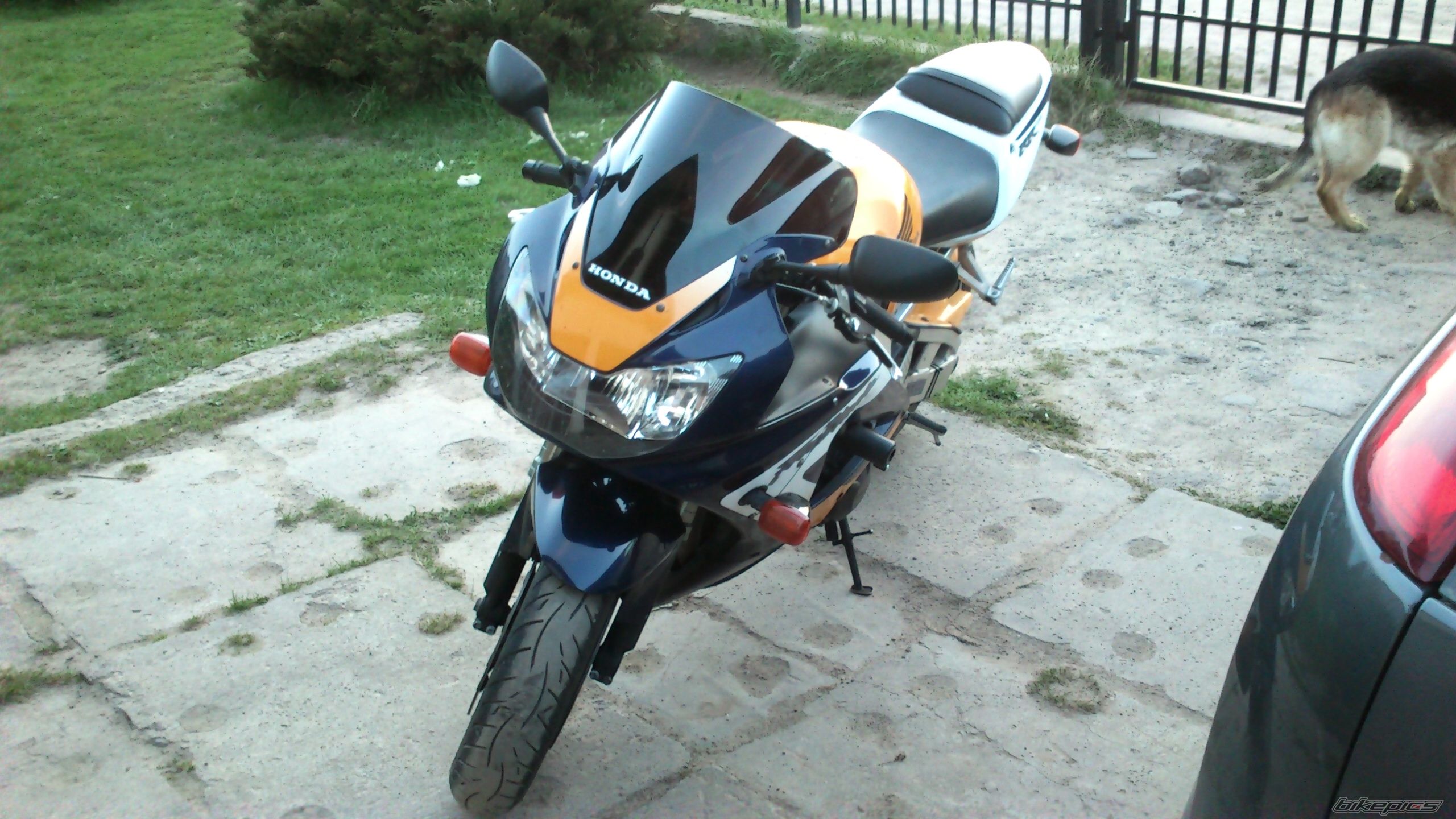 Photo 2551612