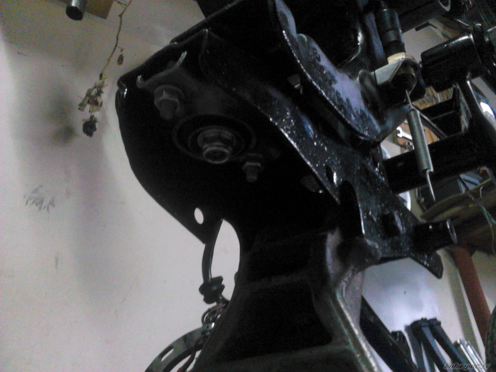 Photo 2551617