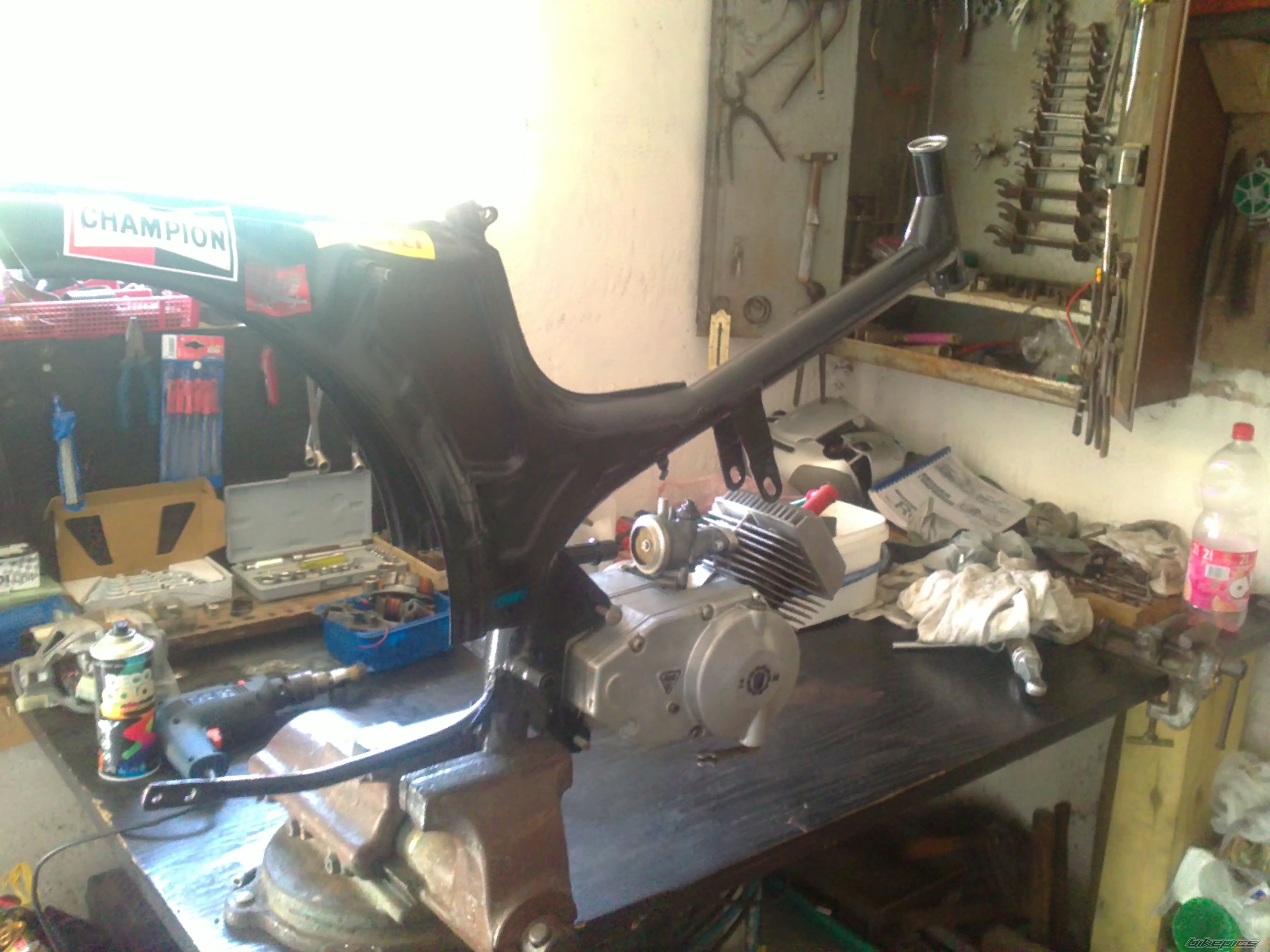 Photo 2551634