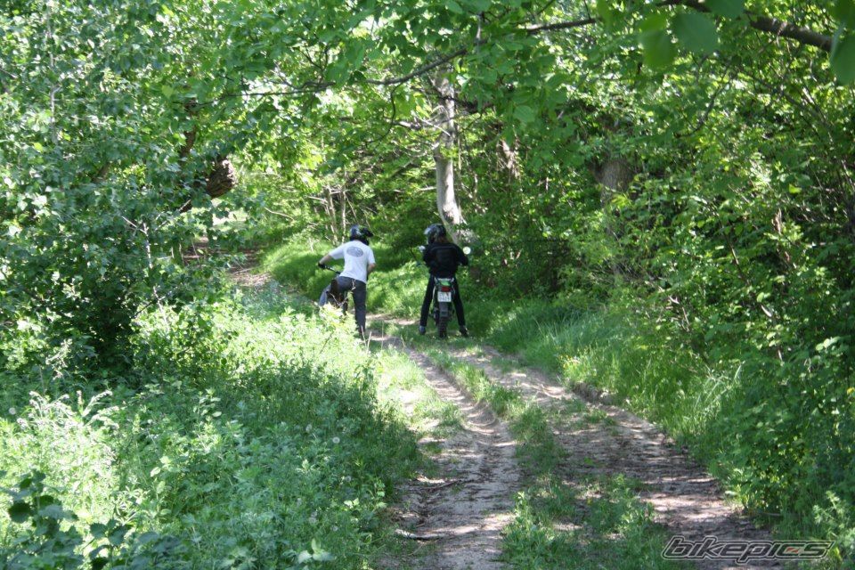 Photo 2551871