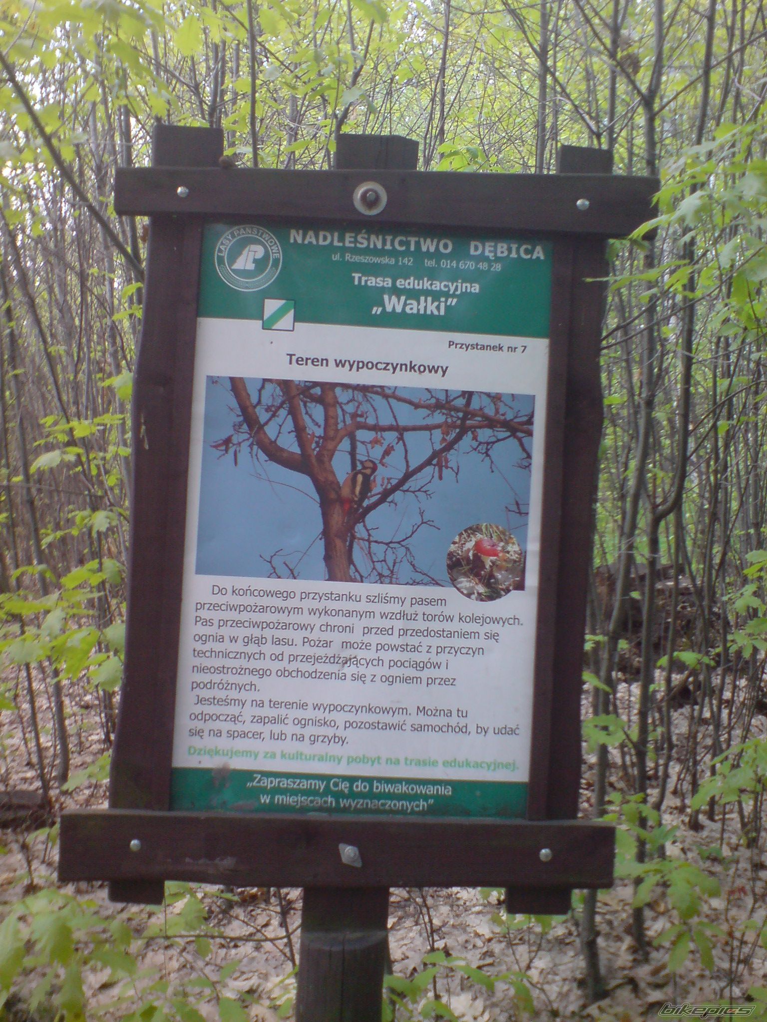 Photo 2552041
