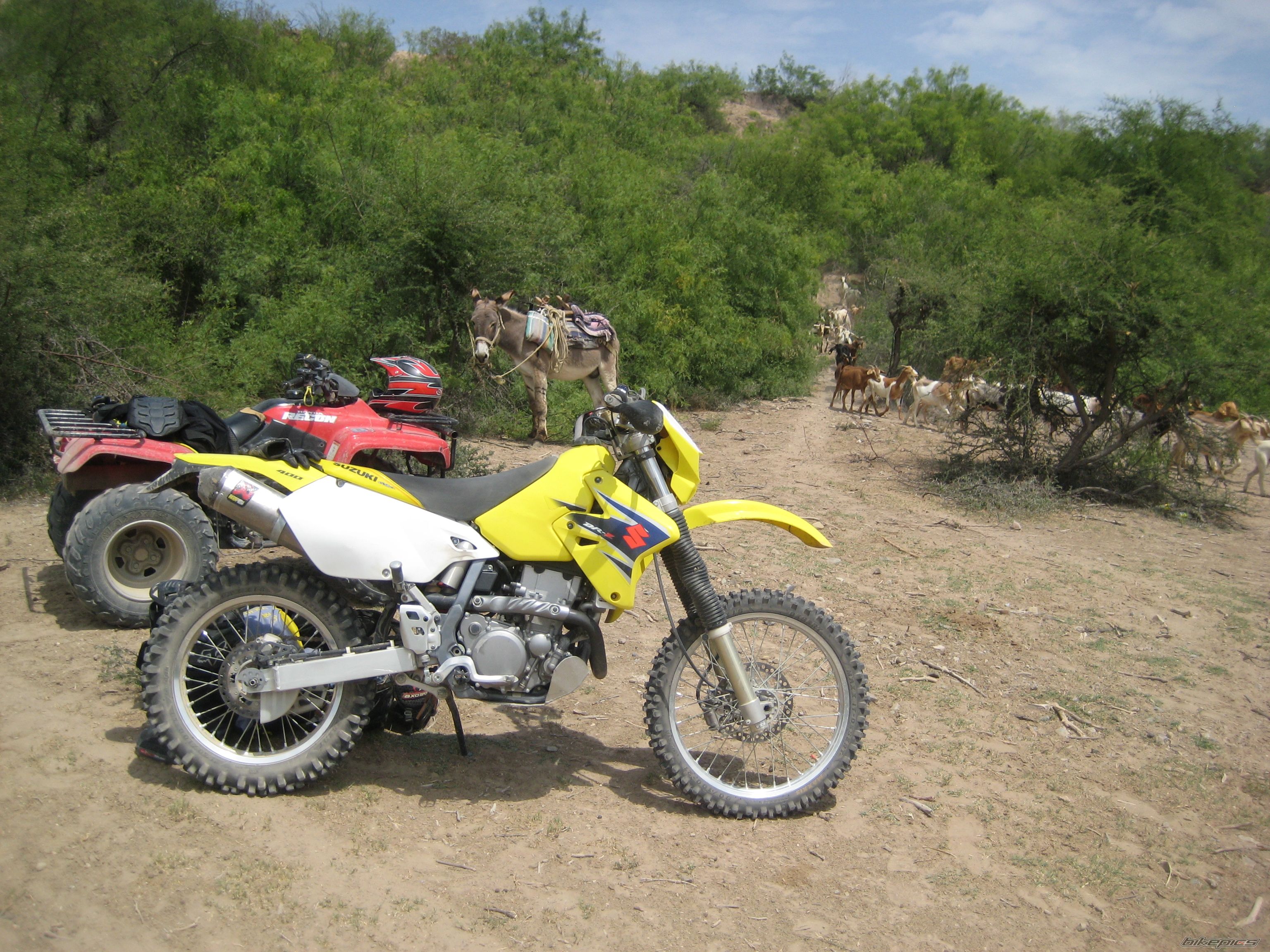 Photo 2552071