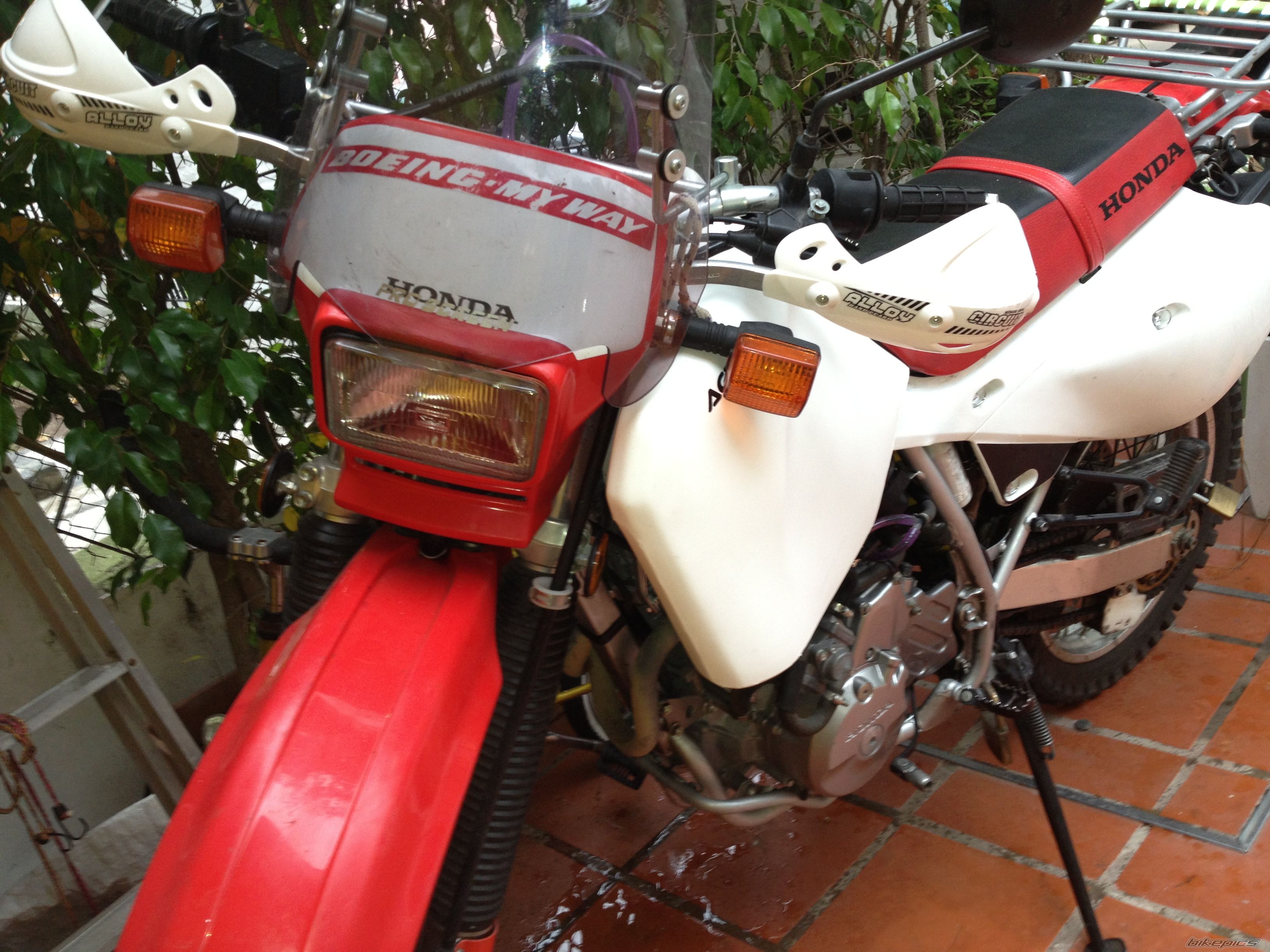 Photo 2552202
