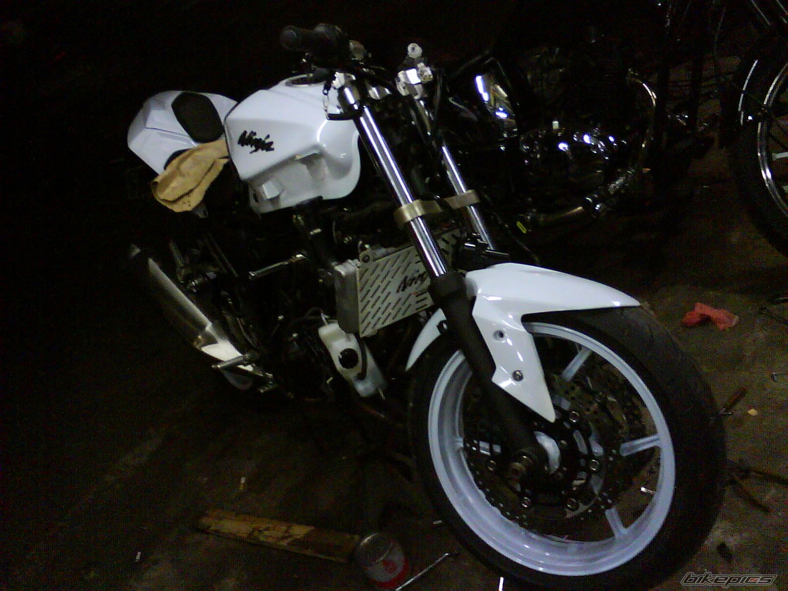Photo 2552223