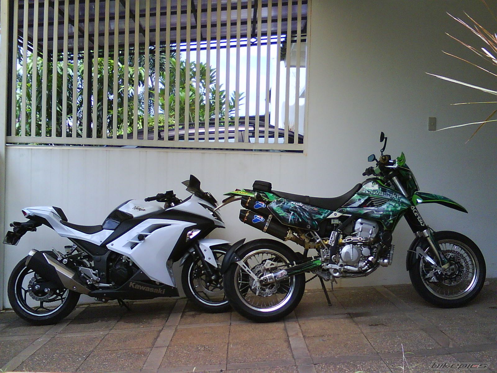 Photo 2552226